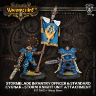 stormblade infantry officer and standard cygnar storm knight unit attachment
